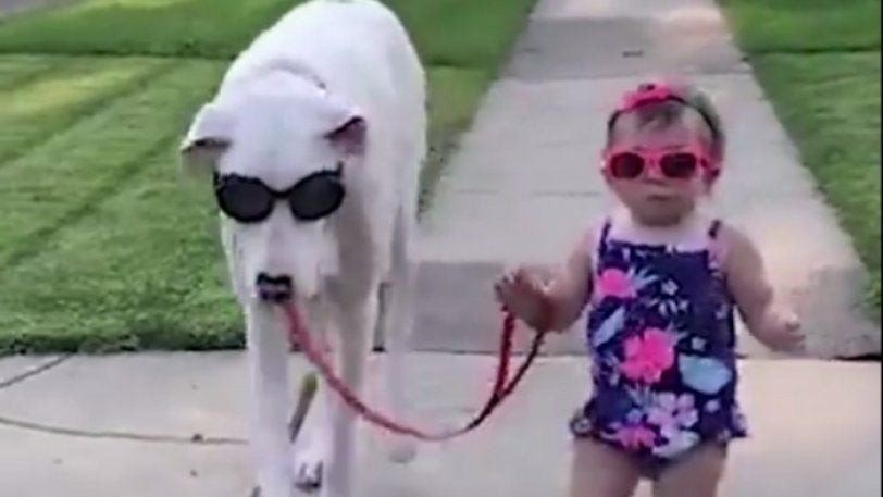 Αυτό το κοριτσάκι είναι αχώριστο με τον κουφό σκύλο της (βίντεο)